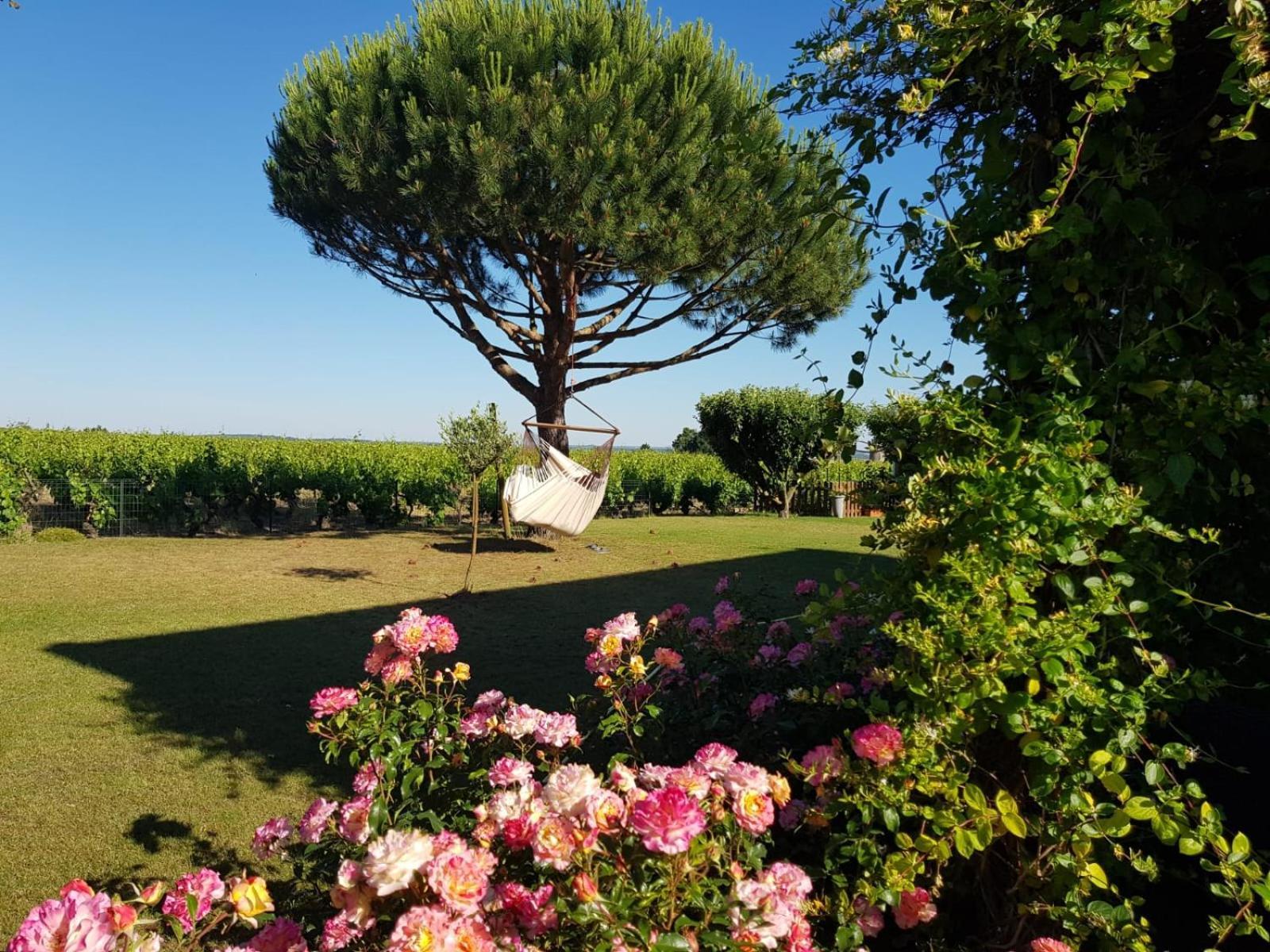 לינה וארוחת בוקר Liré Entre Loire Et Vignobles מראה חיצוני תמונה